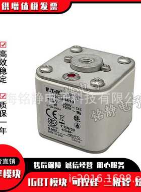 熔断器保险丝170M4443 170M4444 170M4445 170M4446 170M4447