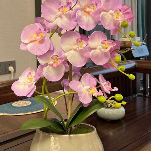 仿真花蝴蝶兰套装手感假花盆栽客厅餐桌摆放绢花中式陶瓷花卉摆件