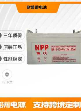 NPP耐普蓄电池NPG120-12 太阳能 12v120AH 光伏发电 EPS电源专用