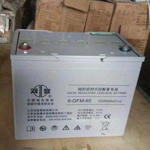 双登铅酸蓄电池6-GFM-65 12V65AH 直流屏 UPS电源太阳能专用电池