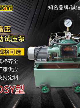 DSB25MPa电动试压泵 超高压往复大管道水管检漏仪打压测压机