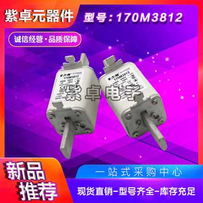 170M3812  170M3981 170M3982 170M3983 170M3984 170M3985保险丝