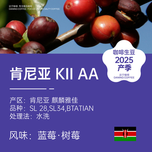 达宁咖啡生豆肯尼亚麒麟雅佳奇异KII AA 蓝莓树莓1KG