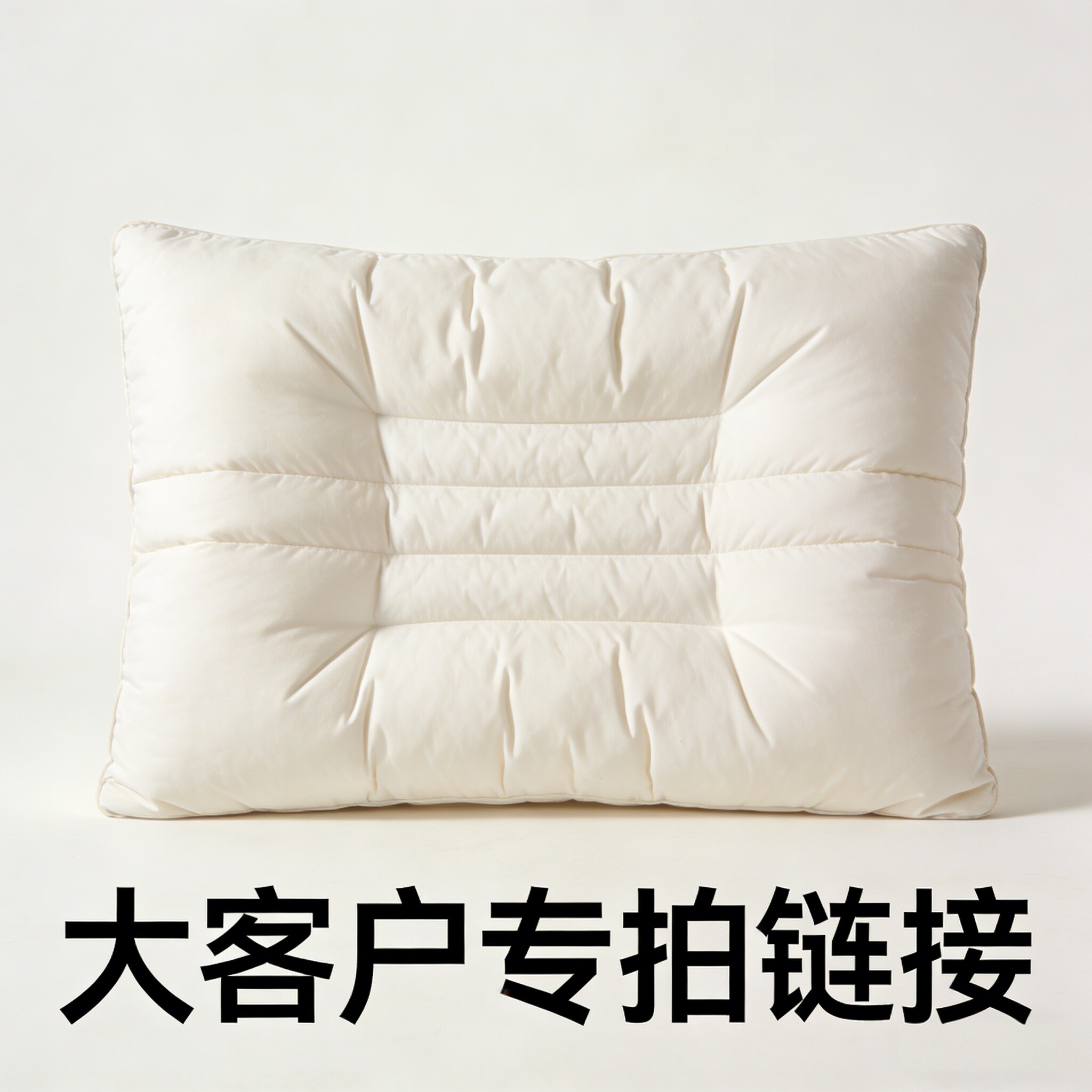 Bejirog/北极绒2026新款记忆棉枕成人学生枕头-大客户专用链接
