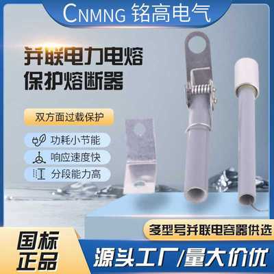 BRW-10KV-12KV/15A16A17A18A19A20A21A22A23A24A25A 高压熔断器