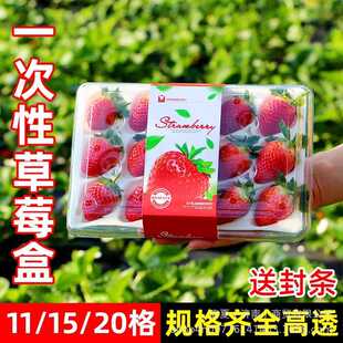 一次性草莓盒子透明泡沫内托草莓专用包装盒塑料15粒网红盒礼盒