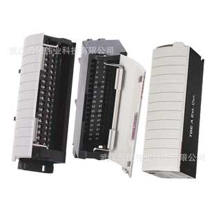 AB罗克韦尔模拟输入模块 NI16V 1746 NI16I