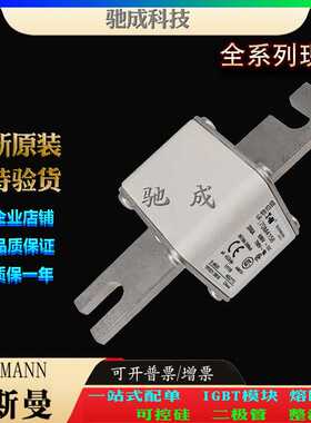 巴斯曼170M4158 170M4159 170M4160 大量现货优价供应 低压熔断器