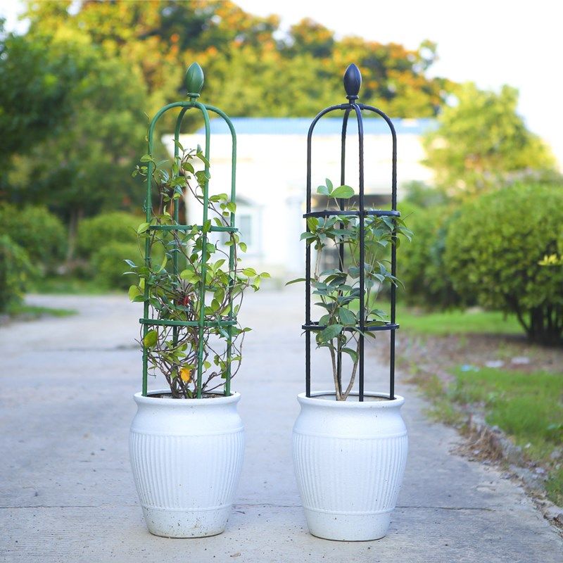 月季爬藤架植物攀爬架包塑钢管花架铁线莲支撑杆飘香藤玫瑰花支架,鲜花速递/花卉仿真/绿植园艺,花架,淘宝优惠券,粉丝福利购,淘宝优惠卷