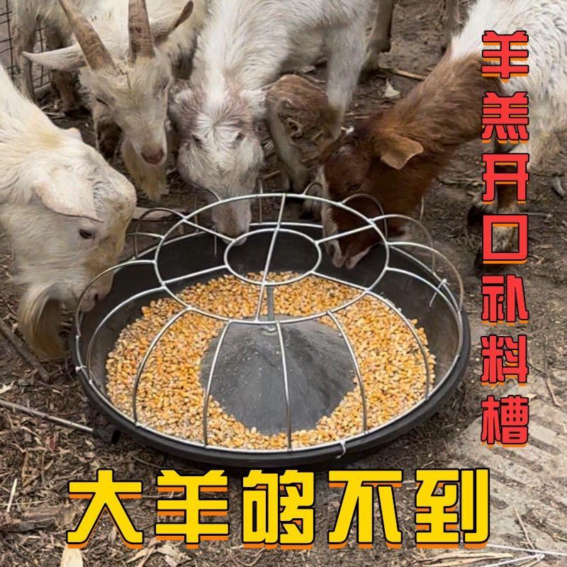 羊羔开口补料槽子喂饲料精