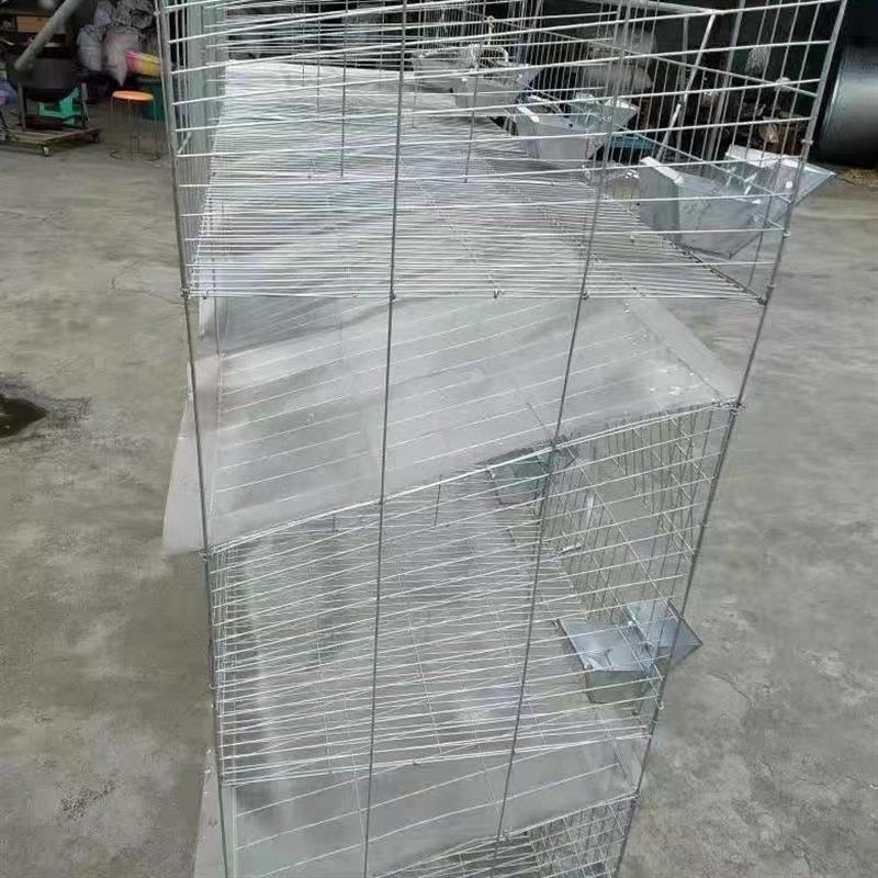 兔笼挡粪板鸡笼挡粪板鸽子
