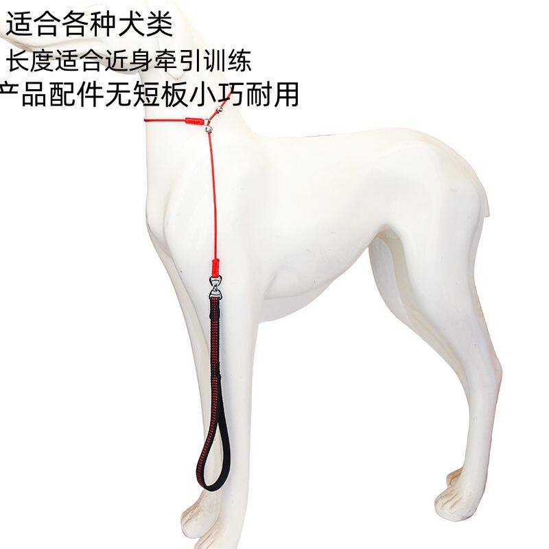 全能牵引专业训犬牵引绳定点训练牵绳带防打结狗链中小型犬适用