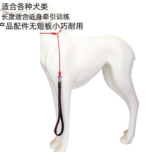 全能牵引专业训犬牵引绳定点训练牵绳带防打结狗链中小型犬适用