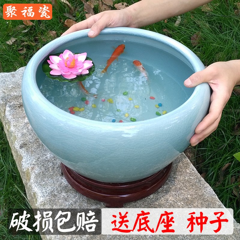 景德镇陶瓷花盆水培盆养金鱼缸客厅新房摆件睡莲花盆碗莲缸荷花盆