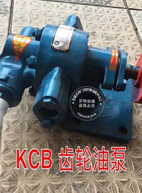 泊头齿轮油泵系列 KCB 2CY 2CG KCG RCB YCB ZYB NYB 渣油齿轮泵