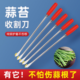 蒜苔收割刀抽蒜薹神器抽蒜台的工具刮划剥拔打蒜苔神器蒜薹收割刀