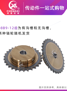 SCS高品质成型孔链轮4分25齿 08B25T外径105.8 精车内孔键槽顶丝