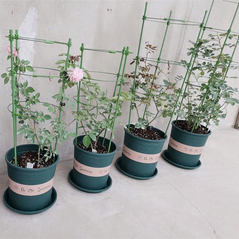 花架花架观叶植物蟹脚兰支架绿萝爬藤架子藤本阳台牵引菜园种植。,饰品/流行首饰/时尚饰品新,其他DIY饰品配件,淘宝优惠券,粉丝福利购,淘宝优惠卷