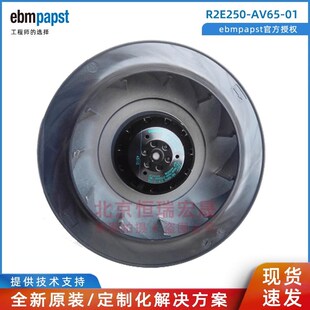 AV65 0.51A 全新原装 230V涡轮风机M2E068 R2E250 115W 正品