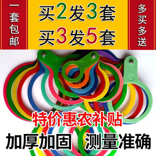 菜棚水果分级板菜农李子大蒜量果圈西红柿瓜农柑橘沃柑选果量果器