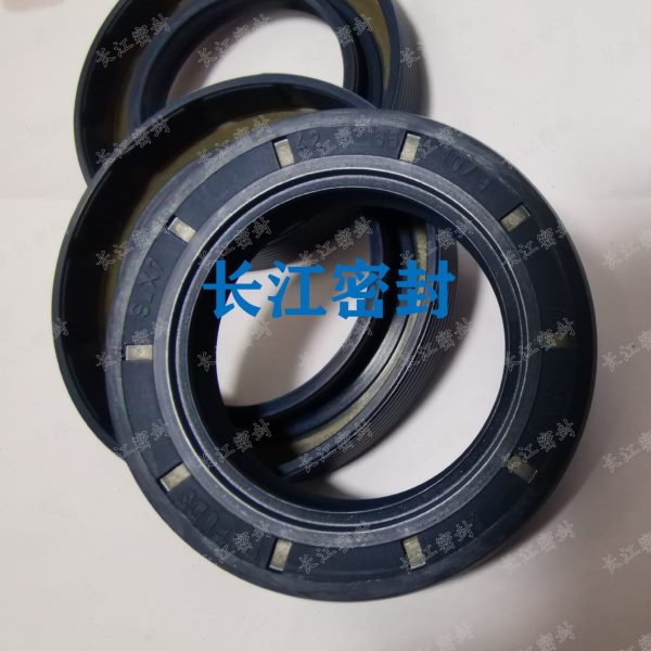 进口德国CFW骨架油封BASL8-16-7 10-19 10-22-8/10-26-7 DIN3760