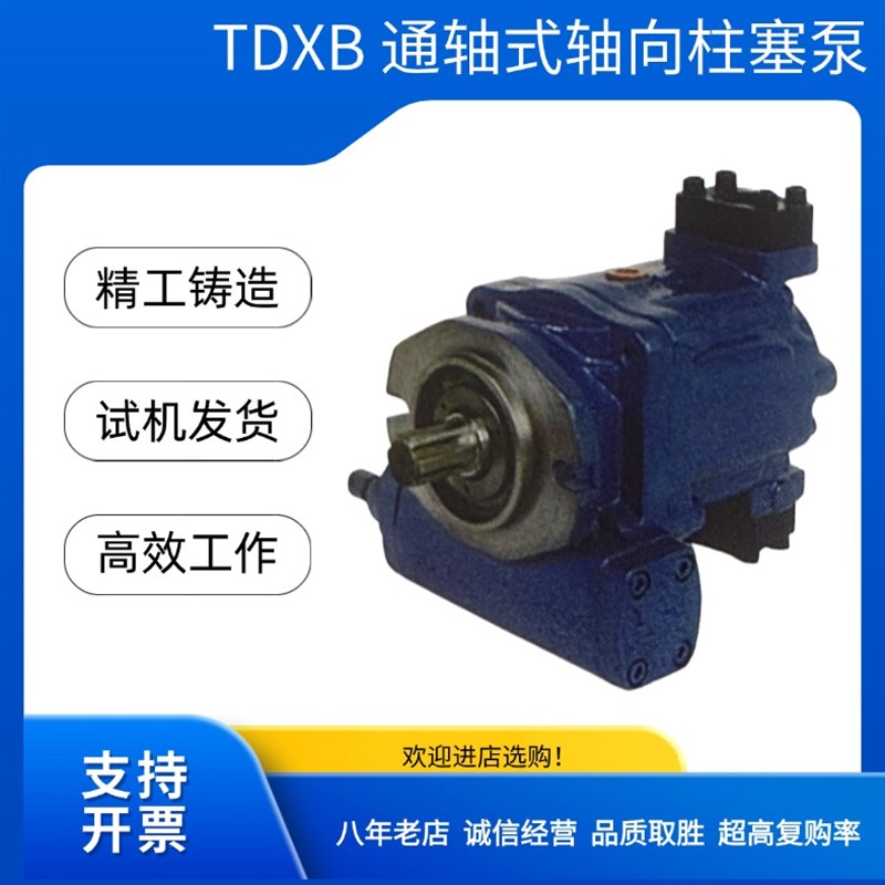 济南镇海通轴式轴向柱塞泵TDXB40/50/63/G80/100N/NH/NP液压变量
