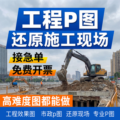 专注工程p图十年经验淘宝天花板