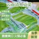 鲜清水贡菜火锅配菜贡水265克脆嫩贡菜响菜串串新鲜贡菜商用小袋
