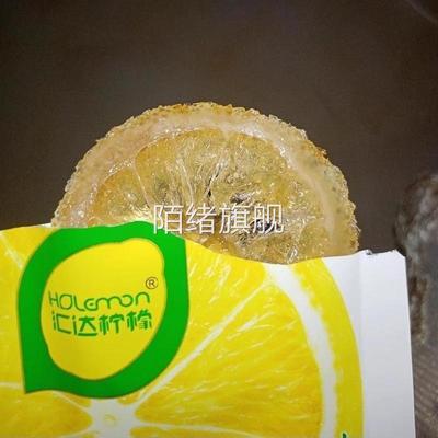 汇达柠檬片开袋即食独立小包装干吃泡水柠檬片蜜钱