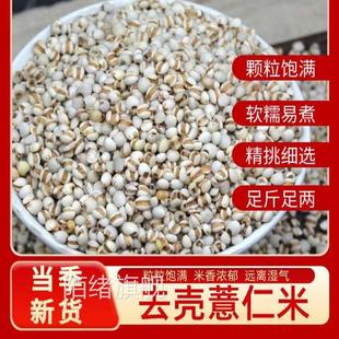 正宗当年薏米仁新货特级优质米大薏仁散装 豆浆五谷杂粮杂米甄选