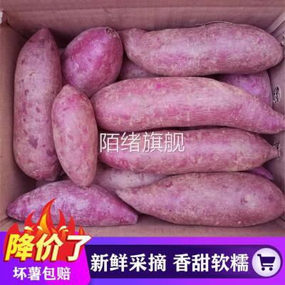 正宗湖北襄阳紫罗兰紫薯新鲜番薯蜜薯板栗红薯沙地地瓜糖心山芋甜