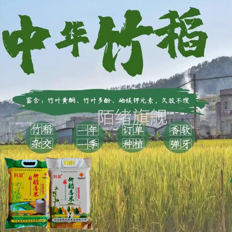 竹稻米新米优质大米5kg10斤装2024年小包装湖北竹稻杂交水稻香米