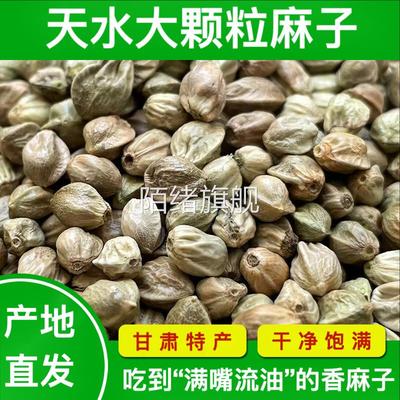 甘肃天水特产麻子大粒人吃炒熟食用大颗粒炒火麻仁籽即食炒货零食