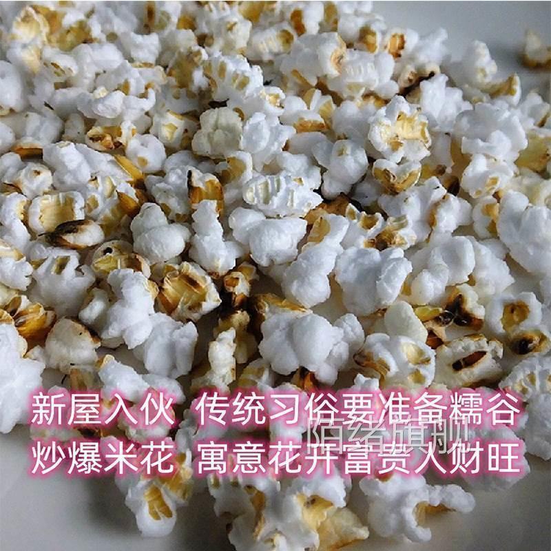 新糯谷带壳长粒稻谷糯米炒爆米花乔迁入伙进宅新居房屋结婚喜庆用