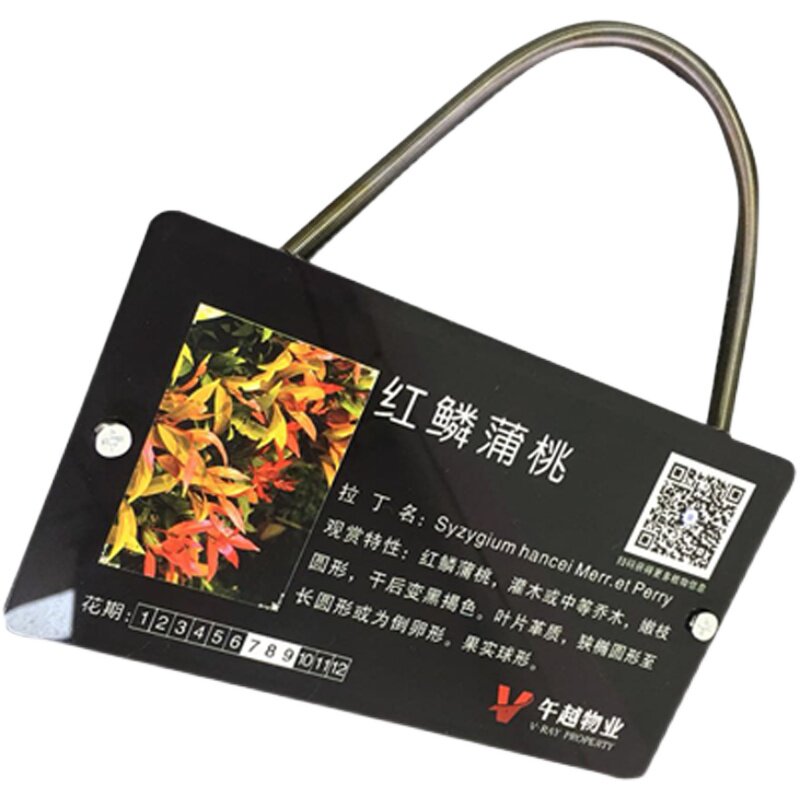 花草牌亚克力树牌植物绿化标识志牌树木介绍挂牌木W广告牌定制做