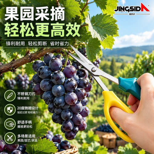 【精品不锈钢】加厚园艺摘果剪