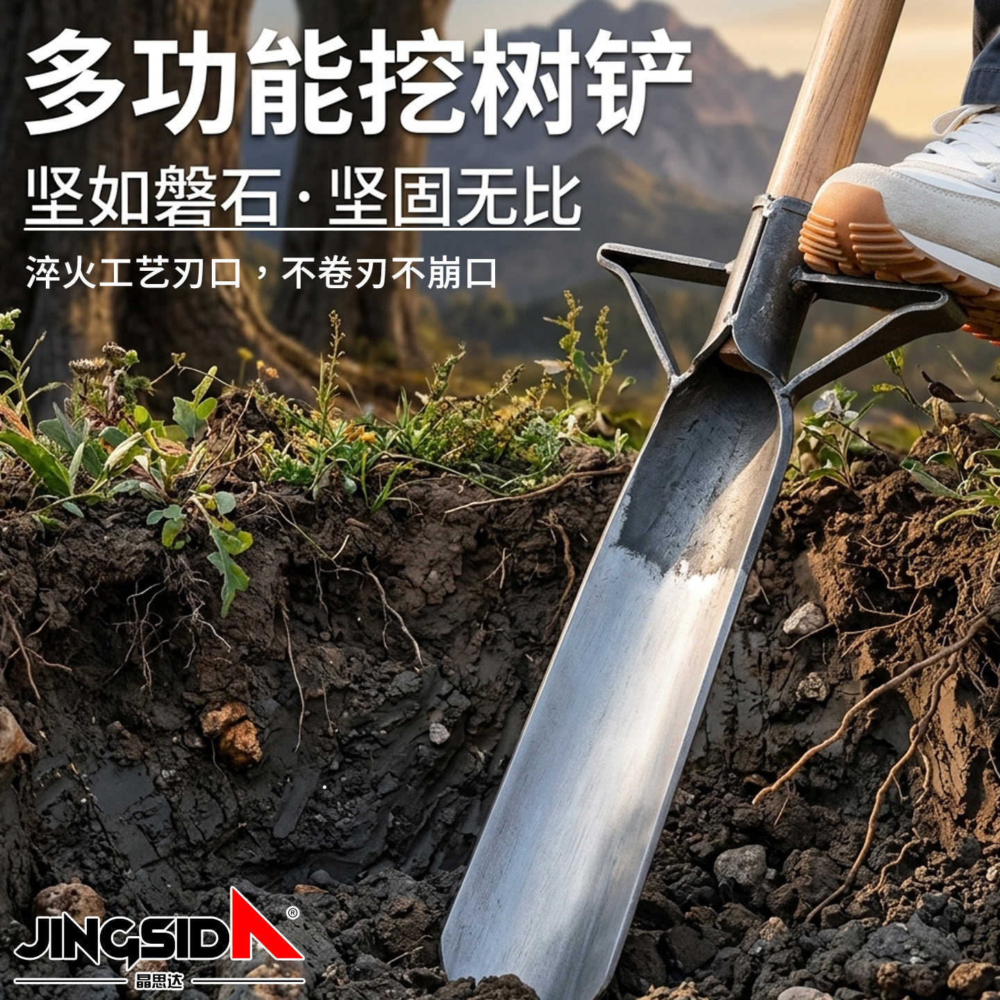 铁锹锰钢挖树专用铲子挖土神器图片