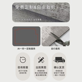 现代简约风地垫门口o地毯门口垫可擦免洗进门玄关地垫入户地毯定