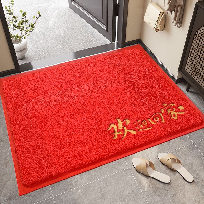 入户门地垫家用进门垫子大门口门垫2025新款防滑免洗地毯丝圈脚垫,居家布艺,入户地垫,淘宝优惠券,粉丝福利购,淘宝优惠卷