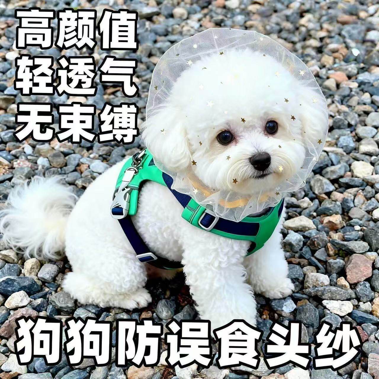 防偷吃乱吃网纱狗狗头套