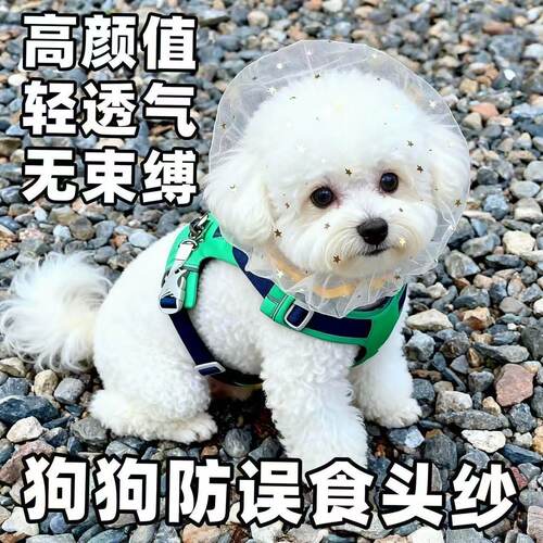 防偷吃乱吃网纱狗狗头套