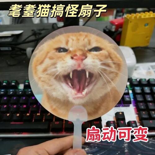 儿童扇子夏天耐用大号卡通塑料