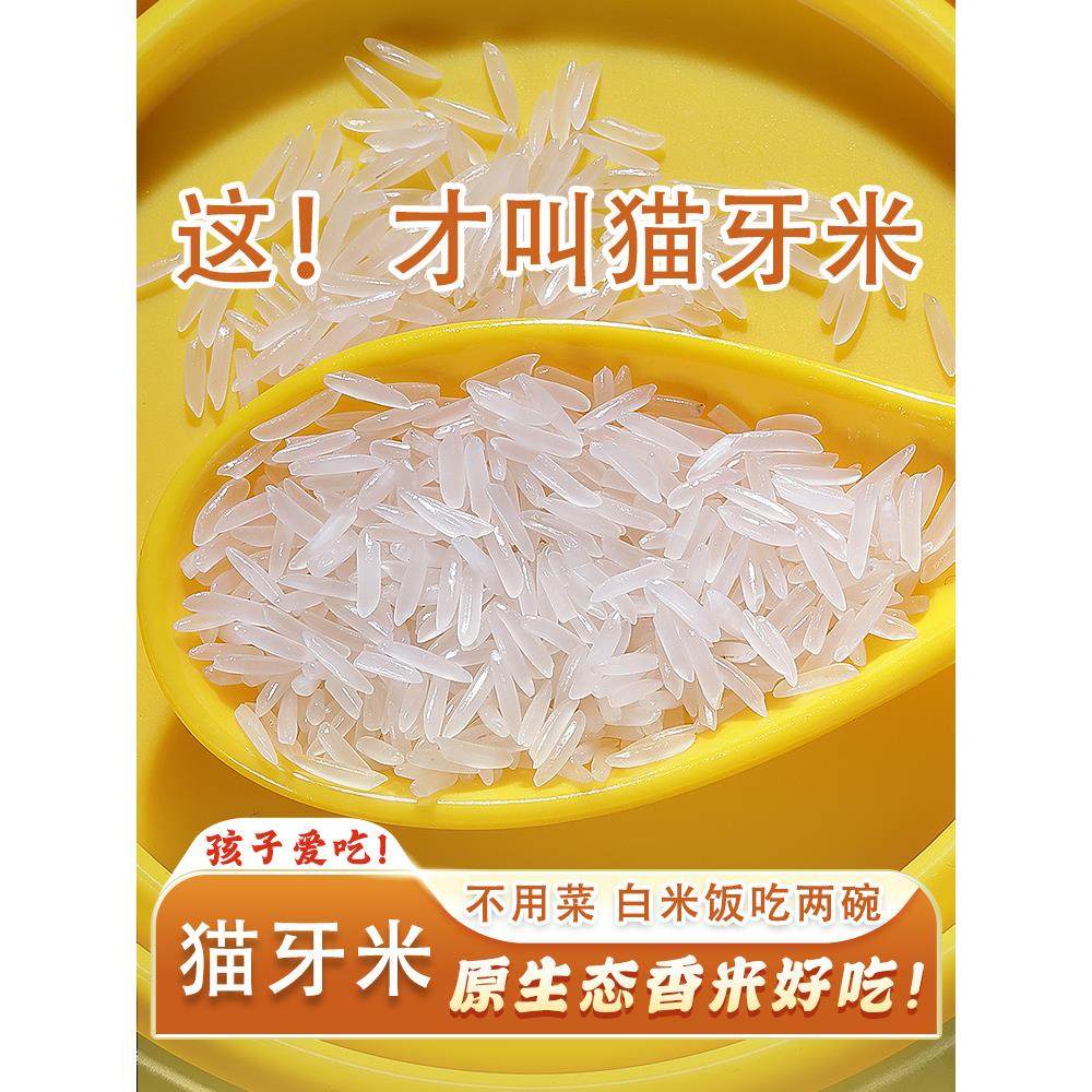 猫牙米10斤泰国香米长粒香大米丝苗米煲仔饭专用米大米2025年新米,粮油调味/速食/干货/烘焙,大米,淘宝优惠券,粉丝福利购,淘宝优惠卷