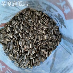 秋乡黑丁儿瓜子黑珍珠葵花籽奶油新货油葵现炒货原味袋装薄盐零食