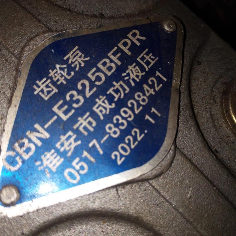 江苏淮安市成功CBN-E31F6BFPR液压齿轮油泵