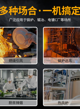 YN5-47锅炉引通风机小型耐高温蜗牛离心风机220V工业烟囱烟筒380V