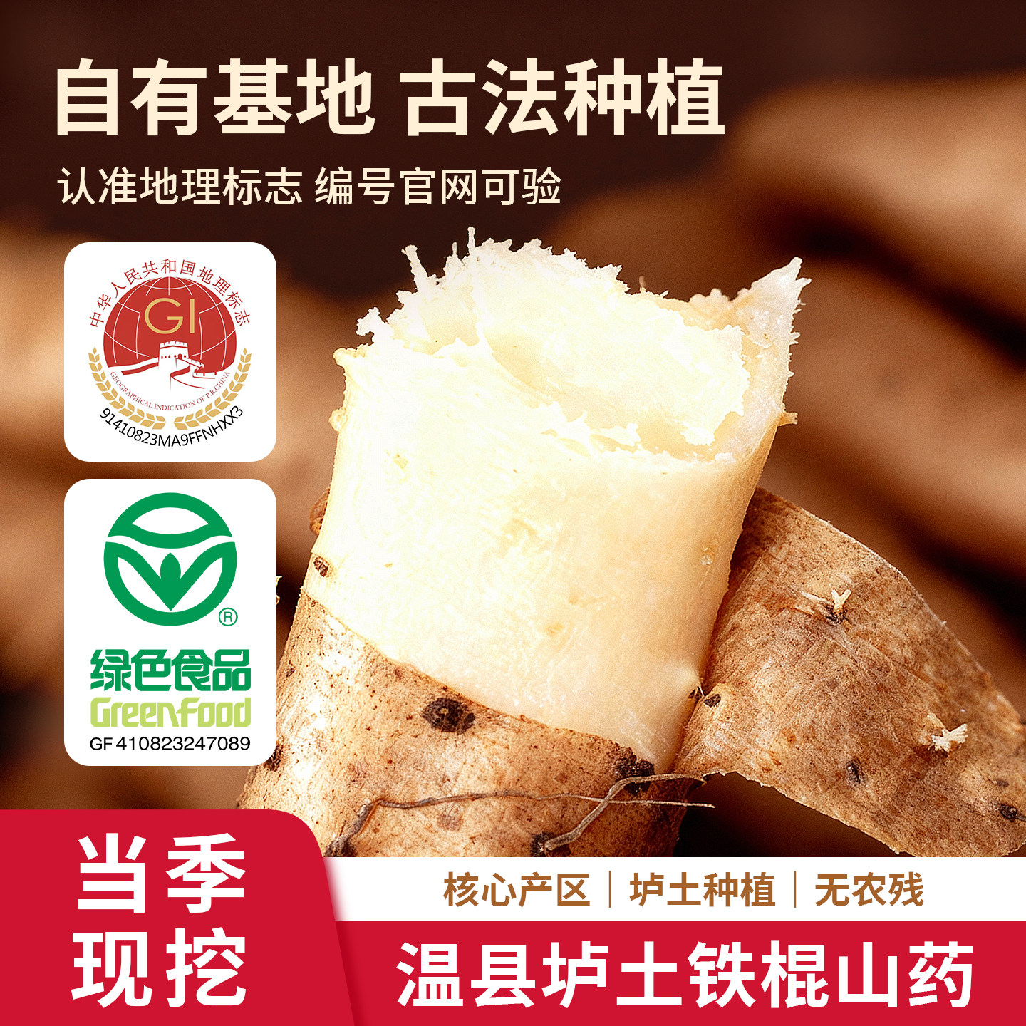 正宗温县垆土铁棍山药新鲜现挖