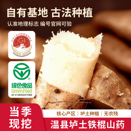 正宗温县垆土铁棍山药新鲜现挖