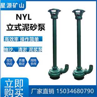 厂家直供液下立式 50NYL 污泥潜水泥浆泵 污水泥浆泵