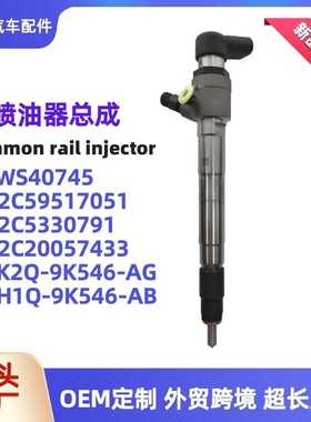 BK2Q-9K546-AG共轨喷油器A2C59517051喷油嘴 5WS40745喷射器油嘴